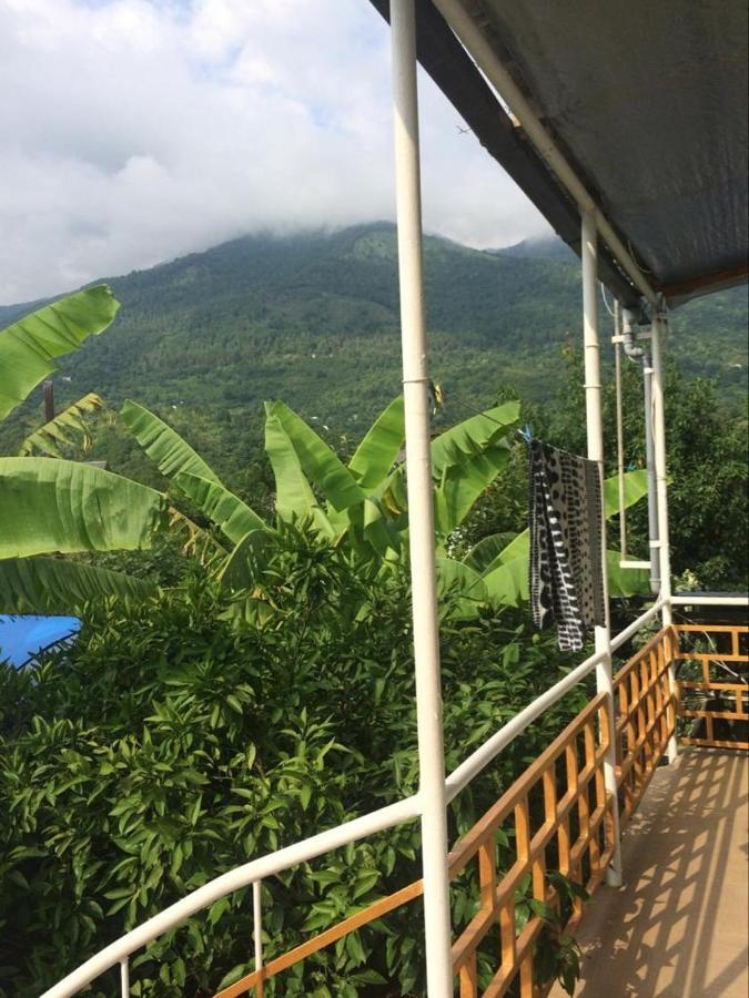 Гостевой Дом У Левы Hotel กากรา ภายนอก รูปภาพ